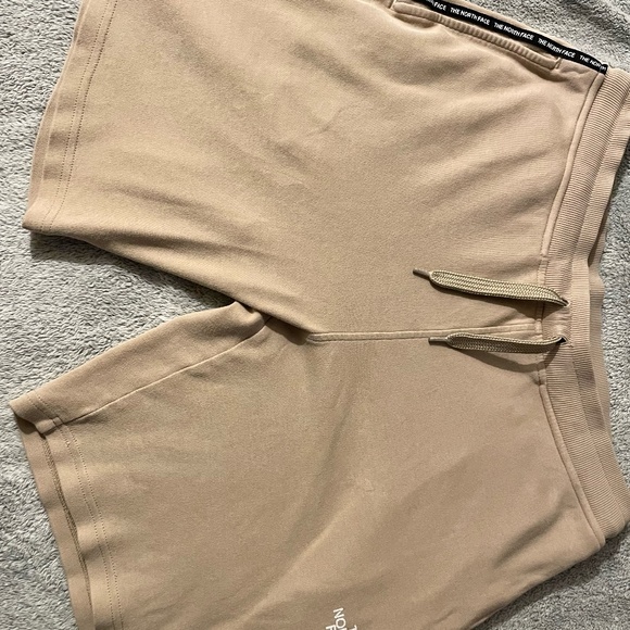 The North Face Shorts ( Mens, SM ) ( Beige ) - Picture 4 of 4